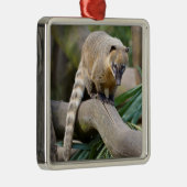 Ringstaartcoati op bijkantoor metalen ornament (Rechts)