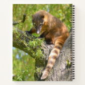 Ringstaartcoati op bijkantoor notitieboek (Achterkant)