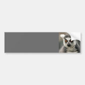 ringstaarten bumpersticker (Voorkant)