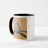 Ringstaarten, (Lemur catta), Berenty Mok (Voorkant links)