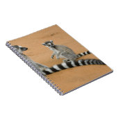 Ringstaarten, (Lemur catta), Berenty Notitieboek (Rechterzijde)