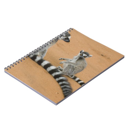 Ringstaarten, (Lemur catta), Berenty Notitieboek (Linkerzijde)