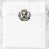ringstaarten ronde sticker (Tas)