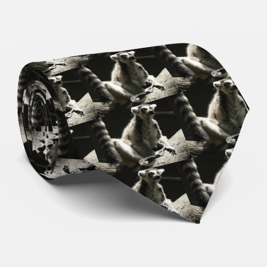 ringstaarten stropdas (Opgerold)