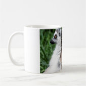 Ringstaartfamilie Koffiemok (Links)