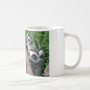 Ringstaartfamilie Koffiemok