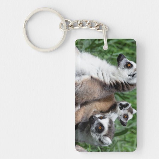 Ringstaartfamilie Sleutelhanger (Voorkant)