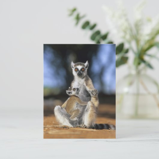Ringstaartleem, moeder en moeder (Lemur catta) Briefkaart (Staand voorkant)