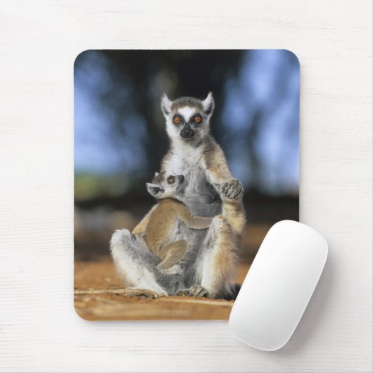 Ringstaartleem, moeder en moeder (Lemur catta) Muismat (Met muis)