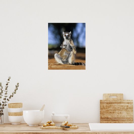 Ringstaartleem, moeder en moeder (Lemur catta) Poster (Keuken)