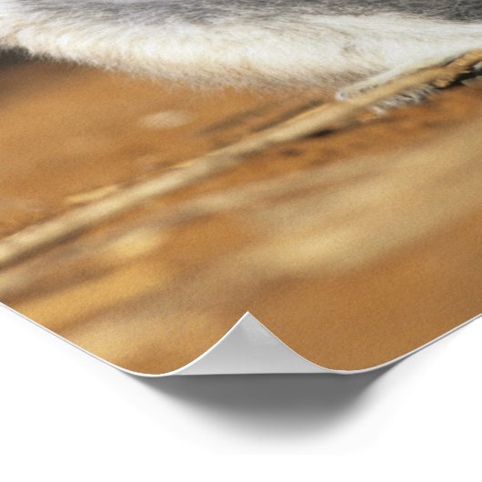 Ringstaartleem, moeder en moeder (Lemur catta) Poster (Hoek)