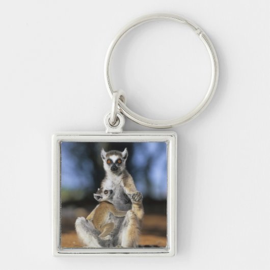 Ringstaartleem, moeder en moeder (Lemur catta) Sleutelhanger (Voorkant)
