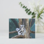Ringstaartlemur Briefkaart (Staand voorkant)