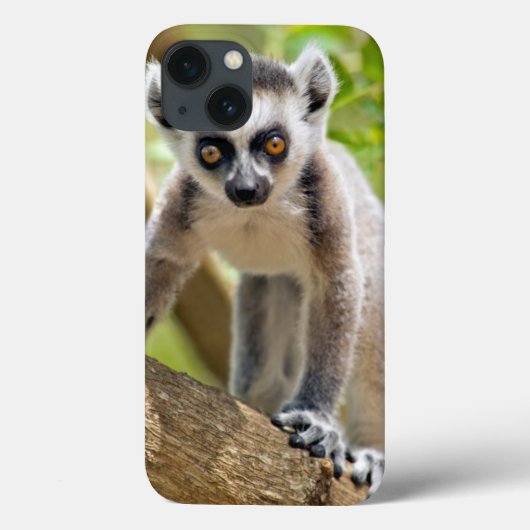 Ringstaartlemur Case-Mate iPhone Case (Achterkant)