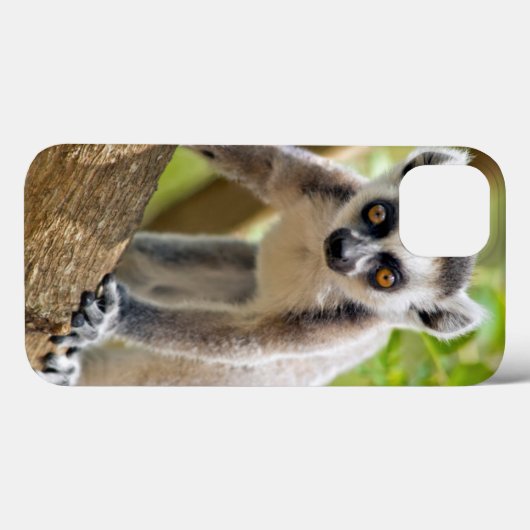 Ringstaartlemur Case-Mate iPhone Case (Achterkant (horizontaal))