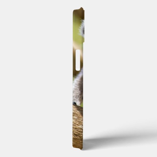 Ringstaartlemur Case-Mate iPhone Case (Achterkant / Rechts)