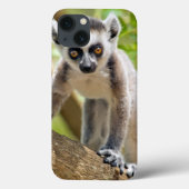 Ringstaartlemur Case-Mate iPhone Case (Achterkant)