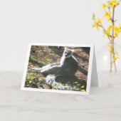Ringstaartlemur Kaart (Gele Bloem)