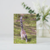 Ringstaartlemur met gras briefkaart (Staand voorkant)
