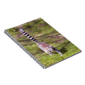 Ringstaartlemur met gras notitieboek (Rechterzijde)
