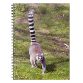 Ringstaartlemur met gras notitieboek (Voorkant)
