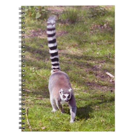 Ringstaartlemur met gras notitieboek (Voorkant)