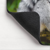 Ringstaartlemur Muismat (Hoek)