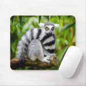 Ringstaartlemur Muismat (Met muis)