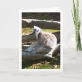 Ringstaartlemur op stammen kaart (Voorkant)