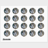 Ringstaartlemur Ronde Sticker (Vel)