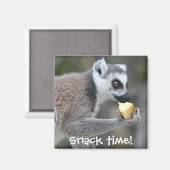 Ringstaartlemur — Snacktijd! Magneet (Voorkant / Achterkant)