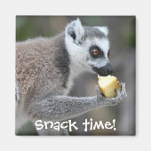 Ringstaartlemur — Snacktijd! Magneet (Voorkant)