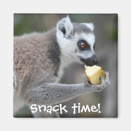 Ringstaartlemur — Snacktijd! Magneet