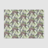 Ringstaartlemuren in het oerwoud tissuepapier (Voorkant)