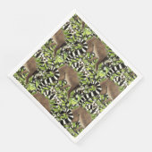 Ringstaartlemuren van Madagaskar in het Oerwoud Servet (Hoek)