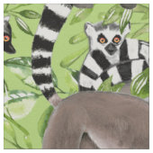 Ringstaartlemuren van Madagaskar Stof (Close Up)