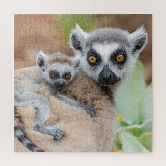 Ringstaartmaki-baby op de rug van haar moeder legpuzzel (Verticaal)