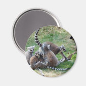 Ringstaartmaki familie magneet (Voorkant / Achterkant)