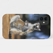 Ringstaartmaki, (Lemur catta), Moeder en Case-Mate iPhone Case (Achterkant (horizontaal))