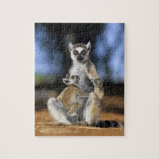 Ringstaartmaki, (Lemur catta), Moeder en Legpuzzel (Verticaal)