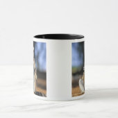 Ringstaartmaki, (Lemur catta), Moeder en Mok (Midden)