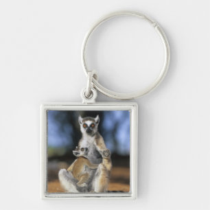 Ringstaartmaki, (Lemur catta), Moeder en Sleutelhanger