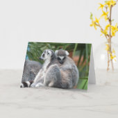 Ringstaartmaki's Knuffelen Kaart (Gele Bloem)