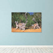 Ringstaartmaki's (Lemur Catta), Berenty Canvas Afdruk (Insitu (Houten vloer))