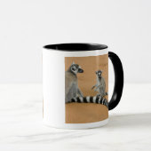 Ringstaartmaki's, (Lemur catta), Berenty Mok (Voorkant rechts)