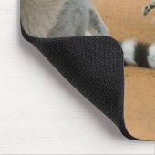 Ringstaartmaki's, (Lemur catta), Berenty Muismat (Hoek)