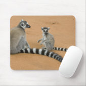 Ringstaartmaki's, (Lemur catta), Berenty Muismat (Met muis)