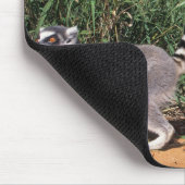 Ringstaartmaki's (Lemur Catta), Berenty Muismat (Hoek)