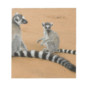 Ringstaartmaki's, (Lemur catta), Berenty Notitieblok