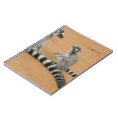 Ringstaartmaki's, (Lemur catta), Berenty Notitieboek (Linkerzijde)